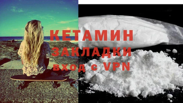 шишки Гусиноозёрск