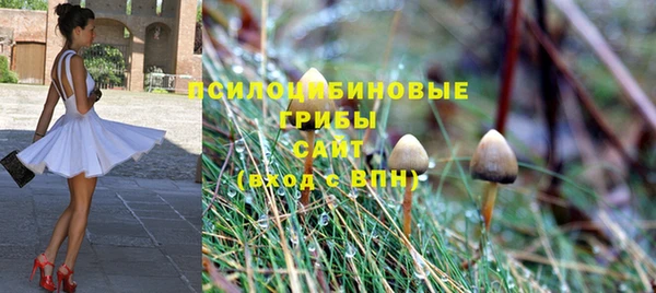 соль ск Дмитровск