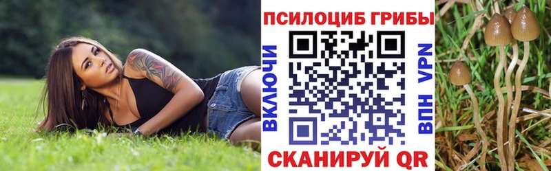 Галлюциногенные грибы Psilocybine cubensis  Купить закладки  Нолинск 